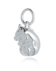 Cat Silver Charm