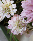 Pale Pink Scabious Stem