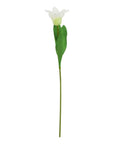 Pure White Parrot Tulip Stem