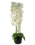Large White Orchid Plant Artifcial 41 REAL TOUCH flowers Botanik-0