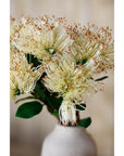 Premium Cream Protea Nitida Stem | Exotic Floral Elegance