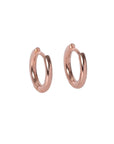 Small Hoop Earrings in Rose Gold and Silver