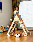 Climbing Triangle with Ramp | Foldable Montessori Climbing Set-3