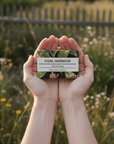Clove 100g Soap Bar