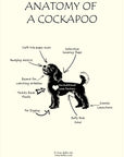 Anatomy of a Cockapoo Tea Towel – Fairtrade Organic Cotton Dog Lover Gift UK