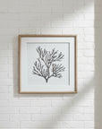 Framed Coral Reef Coastal Wall Art