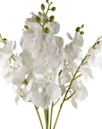 Artificial Flowers Phalaenopsis Orchid White Stem 100cm-0