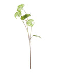 Fresh Green Viburnum Spray | Natural Floral Decor