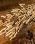 Fluffy white dried bunny tails stems, 76 cm tall, for natural home decor and floral arrangements by Sostter at brixbailey.com