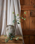 Globe Stem Faux Thistle Botanical