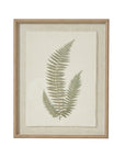Framed Fern Art with Champagne Beaded Frame