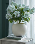 Green Hellebore Indoor Plant in Taupe Ceramic Pot
