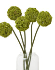 Fresh Green Allium Stem | Elegant Floral Decor