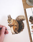 Painted Squirrel Watercolour Art Print