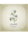 Daisy Silver Charm Bracelet