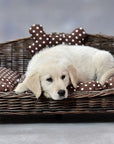Wicker Pet Bed with Cushion and Bone Toy