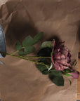 Elegant Dusty Pink Peony Spray Rose | Romantic Blooms