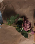 Dusty pink artificial peony roses with full blooms and closed buds, lifelike plastic stems for home decor or weddings (124 chars) by sostter at brixbailey.com