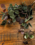 Variegated Eucalyptus Bouquet for Natural Home Style