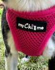Tiny Trails Step In Air Mesh Puppy and Small Dog Harness Hot Pink