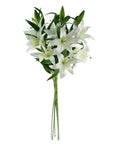 Pack of 6 x Artificial Flowers Large White Lily Stem - 3 Flowers 100cm-1