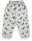 Dinoverse pants-0