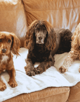 THE LINCOLN | LUXURY TWEED & FAUX FUR REVERSIBLE DOG BLANKET