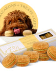 Dog Macarons Box of 6