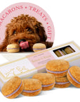 Dog Macarons Box of 6