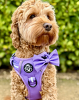 Dog Bow Tie - Lilac Blush