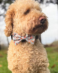 Dog Bow Tie - Woodland Friends