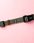Collar - Foxbury Plaid