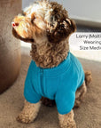 Dog Fleece Coat - Blue
