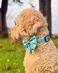 Dog Sailor Bow - Evergreen Trails