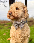 Dog Sailor Bow - Foxbury Plaid