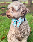 Dog Sailor Bow - Pastel daisy