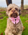 Dog Sailor Bow - Pastel Pink