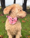 Dog Sailor Bow - Peachy Hearts