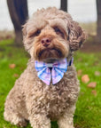 Dog Sailor Bow - Pink Tartan