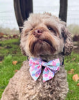 Dog Sailor Bow - Pretty Petals
