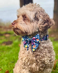 Dog Sailor Bow - Summer Meadow