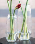 VASE ROBERT - CLEAR glass by DutZ