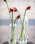 VASE ROBERT - CLEAR glass by DutZ