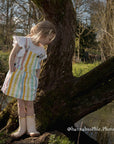 Classic Wide Stripe Dress - Multicolour