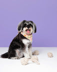 Cotton Rope Ball Toy Set with Travel Bag