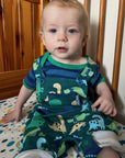 Premium Soft Organic Cotton Dinosaur Print Overalls for Kids - Adjustable Blue Green Gray Romper with Chest Pocket by Toby Tiger at brixbailey.com