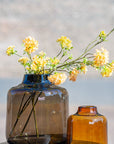 VASE TISZA - AMBER by DutZ