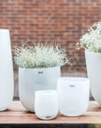 VASE ROBERT - WHITE Colour by DutZ