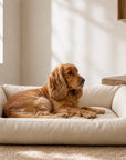 Big Den Waterproof Dog & Cat Basket Bed – Beige, M