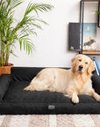 Mano Dog Bed with Removable Cover – Blue, XL